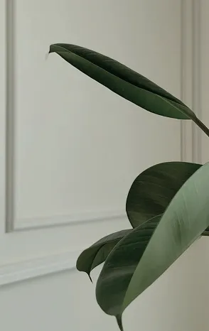 Detail of green leaf decor in interior design